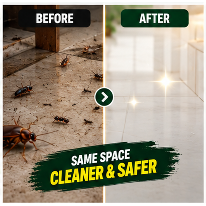 KILLX MULTI INSECT SPRAY – FAST-ACTING INSECT PROTECTION | BUY 1 GET 2 FREE